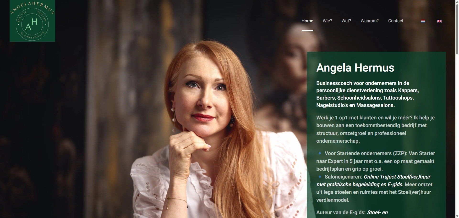webdesign portfolio