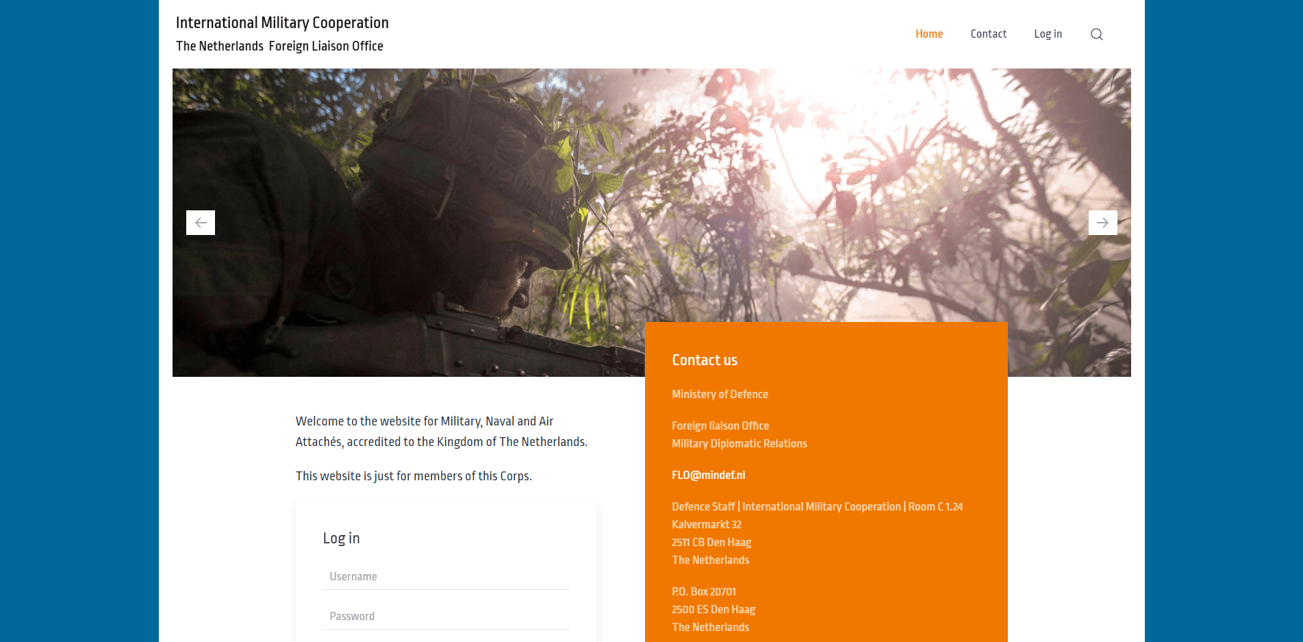 website portfolio