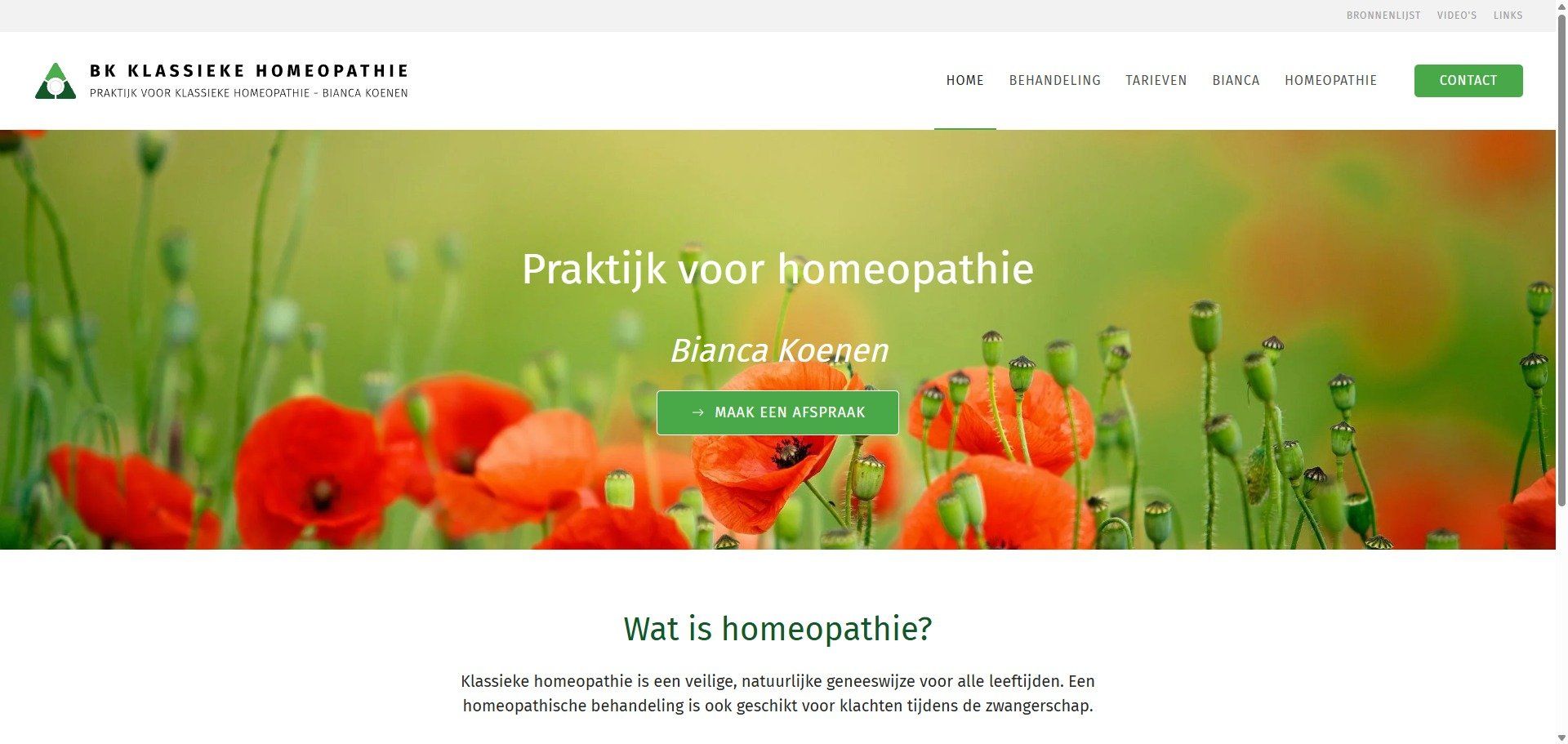 website portfolio